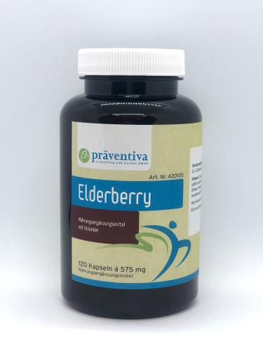 Elderberry 1000mg (120)